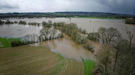 &laquo;&nbsp;On vit une anomalie climatique&nbsp;&raquo;&nbsp;: les experts de l&rsquo;Inrae &eacute;valuent l&rsquo;impact du redoux sur les cultures - Ouest France | Agriculture en Pays de la Loire | Scoop.it