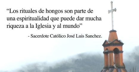 Sacerdote Católico sale del clóset psicodélico. | Ayahuasca News | Scoop.it