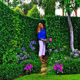 Plant a hidden pathway | Gardening Life | Scoop.it