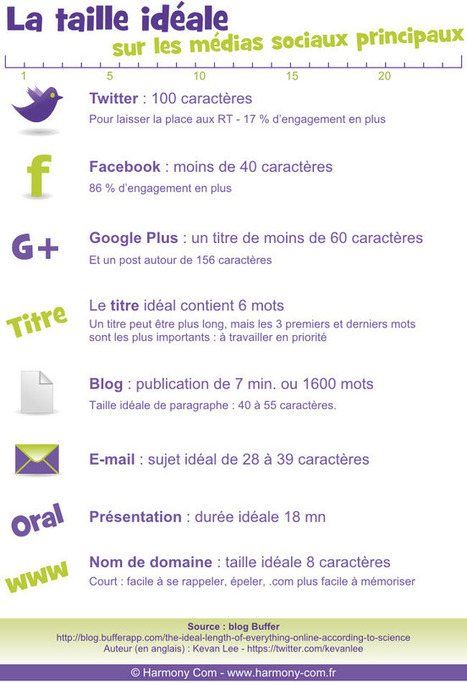 Infographie : la taille idéale sur les principaux médias sociaux | Boîte à outils numériques | Scoop.it