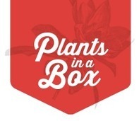 Plantsinabox Scoop It