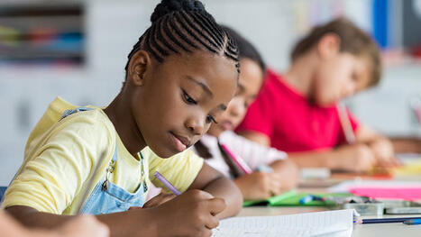70 nouveaux dispositifs pour mieux accompagner les &eacute;l&egrave;ves avec des troubles du neurod&eacute;veloppement : autisme, DYS, TDAH, TDI&nbsp; | Jeunesse, &eacute;ducation et d&eacute;crochage scolaire | Scoop.it