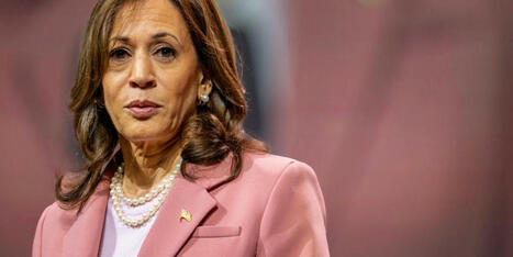 ‘Long live the American Dream’: Megadonor family throws weight behind Kamala Harris - Raw Story | Anon Hades | Scoop.it