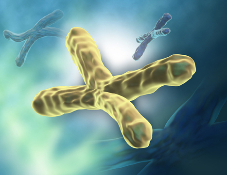 Unique Mouse Model Created for Aplastic Anemia Study | ALN | Hematology | Scoop.it