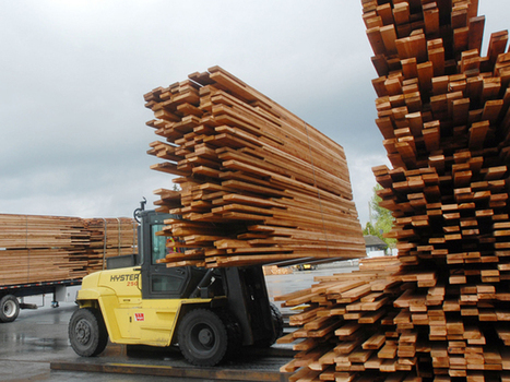 Land ruling could impact lumber market as much as pine beetle | Timberland Investment | Scoop.it