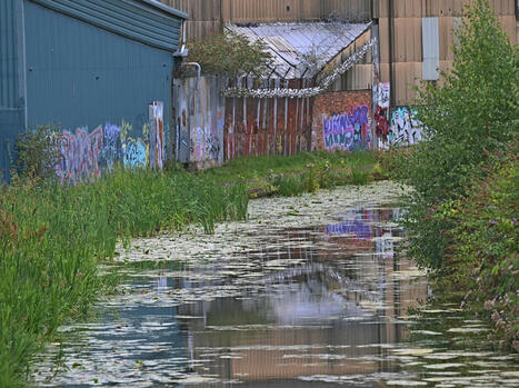 Update given on work to clean up 'major' 4,000-litre Walsall canal chemical spill | Express & Star  / le 11.09.2024 | Pollution accidentelle des eaux par produits chimiques | Scoop.it