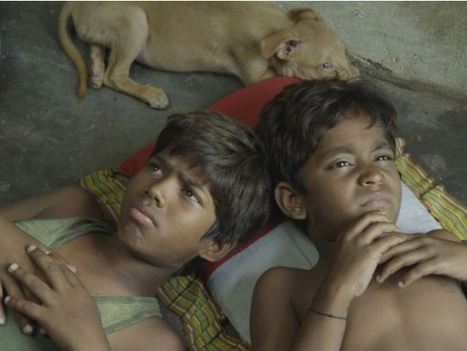 Kaaka Muttai Movie Review: A Rare And Near Flawless Film | Bollywood Movies News | Scoop.it