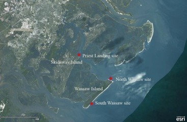 Plastic Debris on Georgia’s Beaches and Marshes: Recently Published Article on the Amounts and Accumulation Rates | Coastal Restoration | Scoop.it