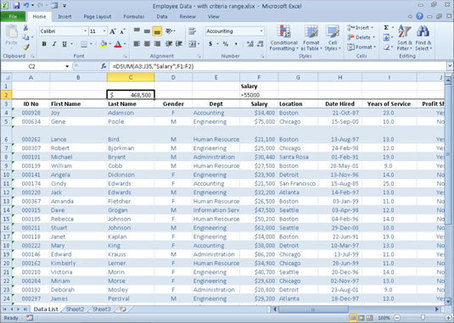 An Overview of Excel 2010's Database Functions - For Dummies | information analyst | Scoop.it