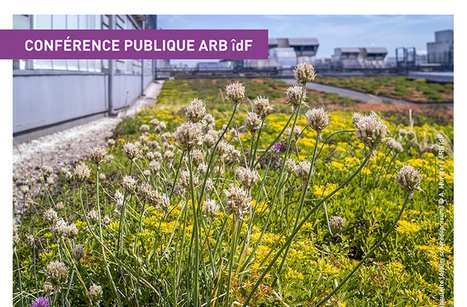 Retour | Conférence publique "La toiture végétalisée, véritable écosystème urbain ?" (2018) | ARB îdF | ESPACES VEGETALISES URBAINS | Scoop.it