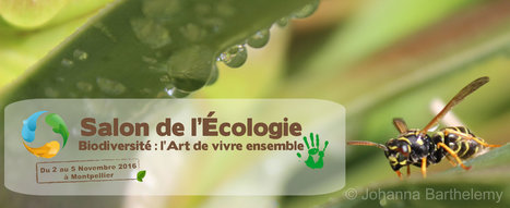 Salon de l'écologie de Montpellier en région Occitanie, 8e édition | Variétés entomologiques | Scoop.it