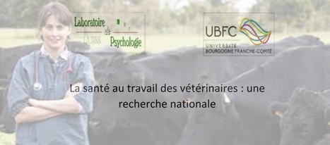 La santé psychologique des vétérinaires | Lait de Normandie... et d'ailleurs | Scoop.it