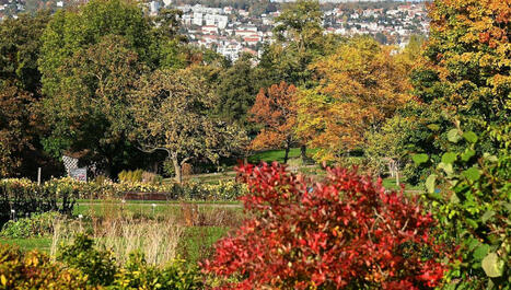 Le Jardin botanique Jean-Marie Pelt : trésor fleuri et tropical au cœur de Nancy - ici | Biodiversité - @ZEHUB on Twitter | Scoop.it