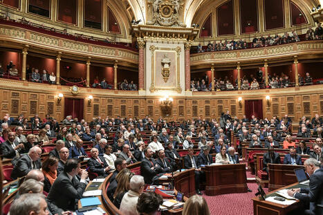 Statut de l’élu local, vie chère dans les Outre-mer : les travaux parlementaires reprendront le 23 septembre | Veille juridique du CDG13 | Scoop.it
