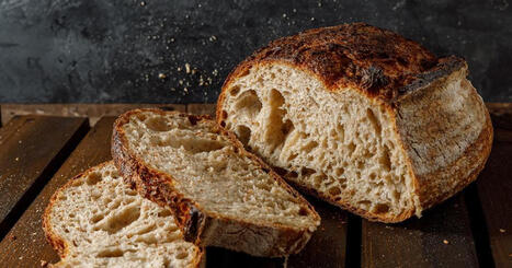 FOOD: How fermentation can transform the global food system | ALIMENTATIONS | Scoop.it