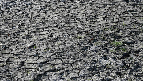 Le gouvernement présente son plan "anti-sécheresse" pour préserver les ressources en eau | Biodiversité | Scoop.it