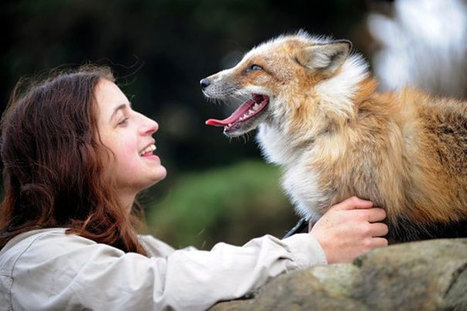 Emma partage une complicité sans limites avec un renard qu’elle a recueilli et élevé avec amour | Koter Info - La Gazette de LLN-WSL-UCL | Scoop.it