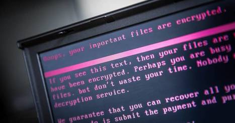Capital : "Des hackers lèvent une armée d’objets connectés pour une cyberattaque mondiale | Ce monde à inventer ! | Scoop.it