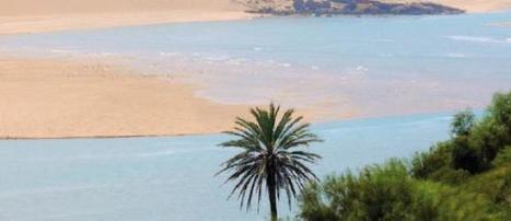 Le Maroc, une biodiversité riche d'une quarantaine d'écosystèmes (HCEFLCD) | Biodiversité | Scoop.it