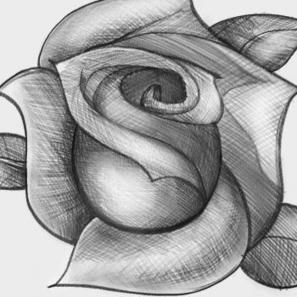 How to Sketch a Rose, Step by Step, Sketch, Drawing Technique | Drawing and Painting Tutorials | Scoop.it