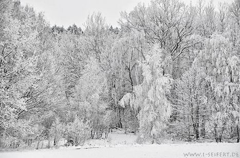 Bilder Winter | kostenlose-Bilder | Scoop.it