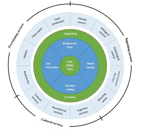 Conserving Healthy Soils | Stage 5 Sustainable Biomes | Scoop.it