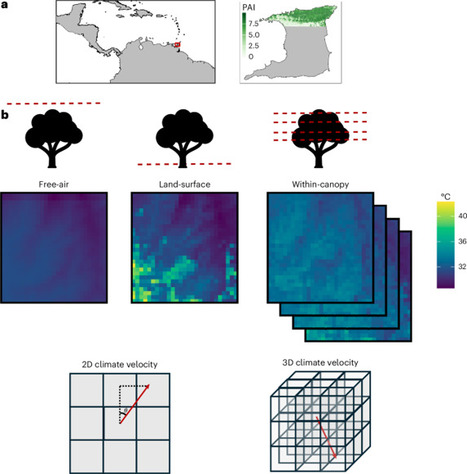 Microclimates slow and alter the direction of climate velocities in tropical forests | Écosystèmes Tropicaux | Scoop.it
