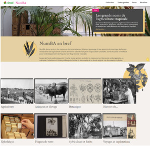 NumBA, une collaboration renouvel&eacute;e Cirad-BnF pour valoriser les collections patrimoniales | &Eacute;cosyst&egrave;mes Tropicaux | Scoop.it