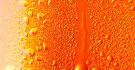 Beer waste reimagined: Aussie project to unlock new uses, improve sustainability | Industry 411 - Waste Management | Scoop.it