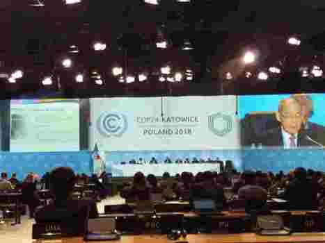 [COP 24 - KATOWICE 2018] Label Bas Carbone et Méthodologie de certification carbone en élevage bovin | Elevage et environnement | Scoop.it