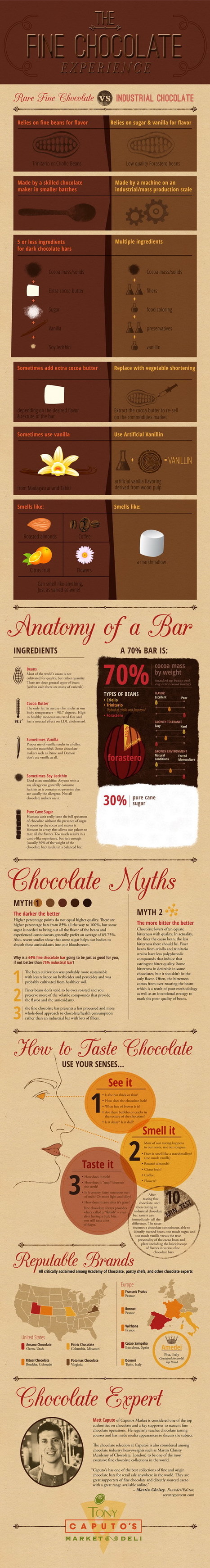 The Fine Chocolate Experience Infographic | Daily Magazine | Scoop.it