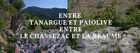 Les Vans, Lablach&egrave;re, Joyeuse, Rosi&egrave;res et autres villages du canton. | Lablach&egrave;re, Sud Ard&egrave;che | Scoop.it