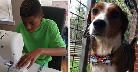 12-Year-Old Kid Makes Shelter Cats And Dogs Stylish Bow Ties To Help Them Find A Home | Daring Fun & Pop Culture Goodness | Scoop.it