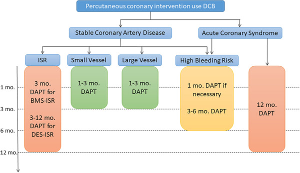 Duration of Dual Antiplatelet Therapy After Implantation of Drug-Coated Balloon | Interventional Cardiology | Scoop.it
