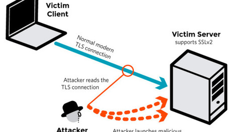 Schlimmer als Heartbleed? Drown-L&uuml;cke bedroht Millionen Webseiten | CyberSecurity | ICT Security-S&eacute;curit&eacute; PC et Internet | Scoop.it
