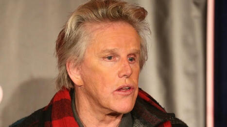 Gary Busey has been sentenced to two years probation for groping a woman - KIMA | Operation Oya | Scoop.it