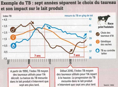 Matière grasse : Un travail génétique dans la durée | Lait de Normandie... et d'ailleurs | Scoop.it