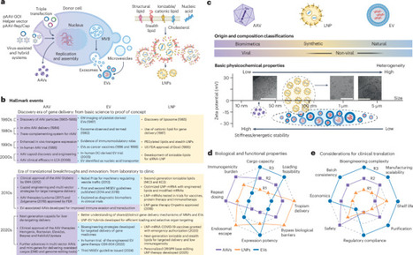 Engineering challenges and translational opportunities in emerging gene delivery platforms | Nbe | RMH | Scoop.it