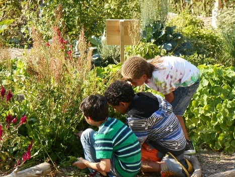 Cultivate Health initiative helps the school garden movement grow | School Gardening Resources | Scoop.it