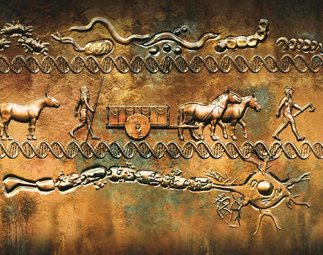 Ancient DNA traces multiple sclerosis origins to 5,000-year-old migrations | AUTOIMMUNITY | Scoop.it