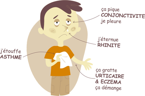 Allergique aux coccinelles ! | EntomoNews | Scoop.it