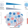 Immunology