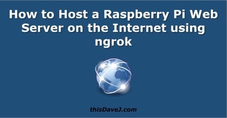 How to Host a Raspberry Pi Web Server on the In...
