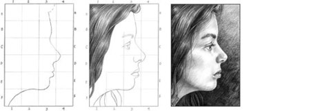 Drawing a Profile Portrait | Drawing and Painting Tutorials | Scoop.it