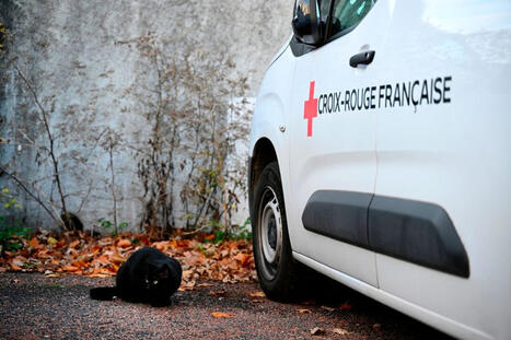 "Nos habitants ont le sentiment d'&ecirc;tre abandonn&eacute;s" : alerte sur les soins infirmiers dans le Bazois | Petites villes de demain | Veille presse | Scoop.it
