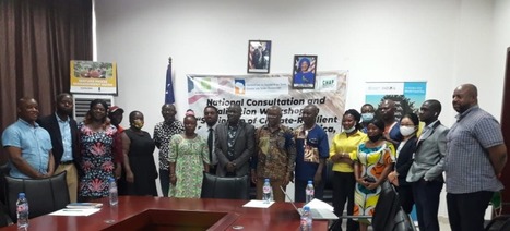 LIBERIA: 13,620 Farmers to Benefit from Climate-Resilient Rice Production Project | SRI Global News ++ March - May 2025    System of Rice Intensification (SRI) | Scoop.it