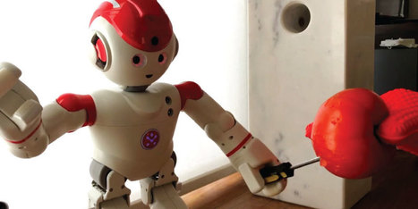 Les Robots Domestiques dans le Viseur des Hackers | Robots, ChatBots et transhumanisme...ce n'est plus de la Science Fiction ! | Scoop.it