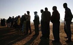 Africa: Zim Can Produce Ebola Drug | Plant Molecular Farming | Scoop.it