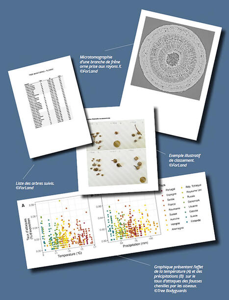 &Eacute;crire les territoires en transitions&nbsp;: des ateliers de &laquo;&nbsp;science slam&eacute;e&nbsp;&raquo; &agrave; la biblioth&egrave;que. Bulletin des biblioth&egrave;ques de France | L'actualit&eacute; des biblioth&egrave;ques | Scoop.it