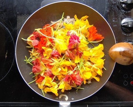 42 fleurs que vous pouvez manger - Santé Nutrition | Bien être,santé, vitalité, environnement | Scoop.it